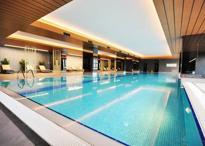 Beautiful Modern 1Bd Condo Views W Poolgym! #223